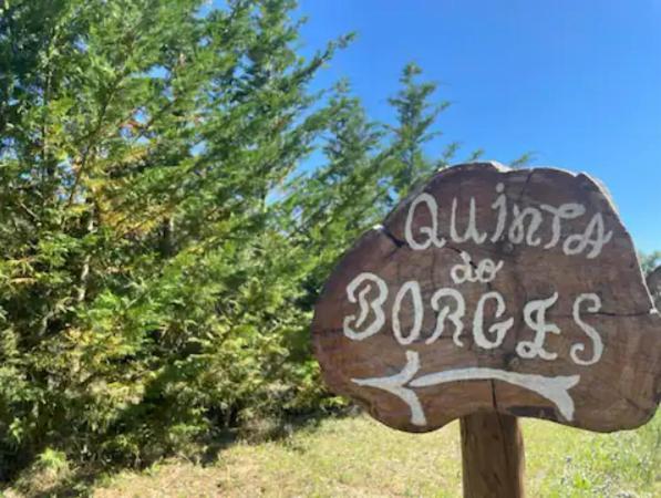Quinta Do Borges 2 Apartment กัวร์ดา ภายนอก รูปภาพ
